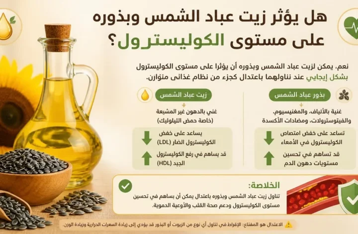 انفوجرافيك يوضح تأثير زيت وبذور عباد الشمس على مستويات الكوليسترول الضار والنافع في الدم.